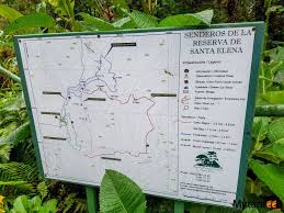 The santa elena reserve is situated a little more towards the atlantic and has large areas at high elevations. Santa Elena Cloud Forest Reserve The Lesser Visited Cloud Forest Forest Reserves Forest Beautiful Places To Visit