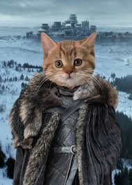 Custom Game Of Thrones Giftsgot Portraitpersonalised Pet Etsy In 2020 Best Dog Gifts Custom Cat Portrait Cat Portraits