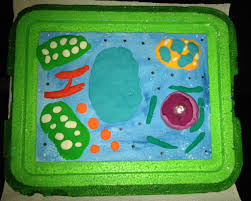 Maybe you would like to learn more about one of these? Science Project Plant Cell Made With Play Dough Paint And Styrofoam Easy And Quick Cells Project Science Projects Plant Cell