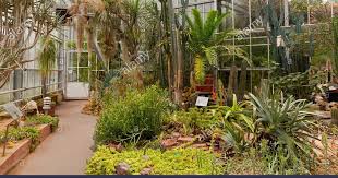 Image Result For Garden Center Poynton Image Result For Garden Center Poynton Image Result For Garden Center Poynton Imag Garden Center Family Garden Garden