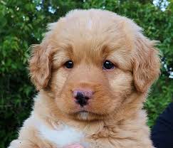 Kull 11: Holli/Scott 2020-07-16