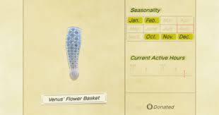 Acnh Venus Flower Basket How To Catch Price Animal Crossing Gamewith