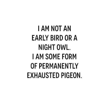 By alyssa fiorentino and nathalie kirby. 25 Funny Whiteboard Quotes To Entertain You Enkiquotes