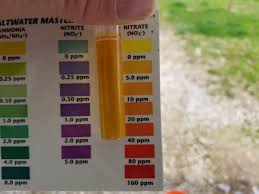 Comprehensive Aquarium Pharmaceuticals Nitrate Test Color