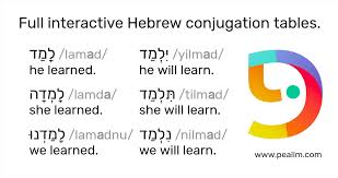 Hebrew Conjugation Tables