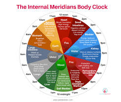 Internal Meridians Body Clock