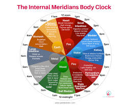 internal meridians body clock