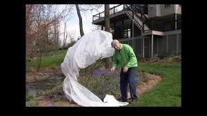 For your potted plants and potted color arrangements simply bring them inside until the freezing weather has subsided. Quick Easy Ways To Protect Flowers Plants From Frost Youtube