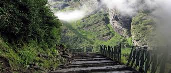 We did not find results for: Valley Of Flowers About Valley Of Flowers Valley Of Flowers Tourism