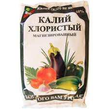 подкормка томатов во время цветения и плодоношения в теплице Tomaty Chem Podkormit Vo Vremya Cveteniya Luchshie Podkormki Dlya Pomidor Organicheskoe Sadovodstvo Sadovye Gorshki Sadovodstvo