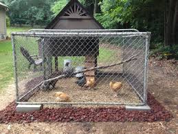 Kleinmaschiger drahtzaun gegen niederwild (de) hühnerdraht, hasendraht, kaninchendraht (de). Cooped Inn Backyard Chickens Learn How To Raise Chickens