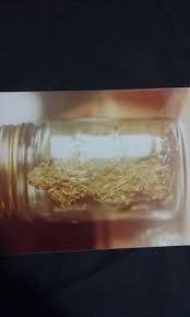 Dose Anybody Remember Red Hair Senceamilliam Strains I Love Growing Marijuana Forum By Robert Bergman