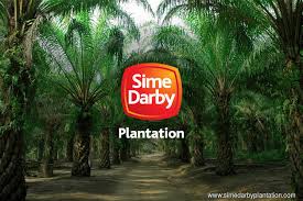 Maybe you would like to learn more about one of these? Hlib Research Starts Coverage On Sime Darby Plantation Target Rm5 72 The Edge Markets