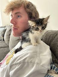 We stopped for gas in Santee S. Carolina and while taking my 3 little dogs  out to potty I heard a very panicked meow coming from an extremely thick  thorn bush. 40