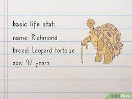 Mlp base 79 (age chart). How To Create A Detailed Character Profile 12 Steps