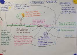Brooke Mcintosh Charts Notes Biology Teaching Biology Science Lessons Teaching Science