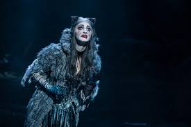 The kennedy centre would like to wish all our customers, staff and the whole community a very happy new year. Cats At The Kennedy Center The Musical Seems To Be Immortal The Washington Post