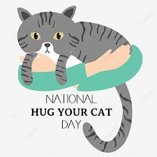 Just like how i was forced to. Grey Cartoon National Hug Your Cat Day Cat Clipart National Hug Your Cat Day Embrace Png Transparent Clipart Image And Psd File For Free Download