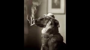 Mean Dog Blues - Red Nichols & Five Pennies (Miff Mole & Adrian Rollini)