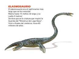Ya Sabemos Que Todos Los Dinosaurios Tenian Cuatro Patas Un Cuerpo Una Cabeza Y Una Cola Su Piel Es Dinosaurios Tipos De Dinosaurios Proyectos De Dinosaurios