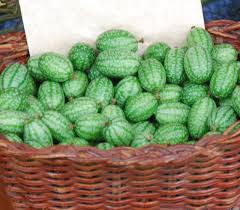 Image result for Melothria sphaerocarpa