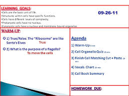 agenda 1 warm up 5 min 2 cell organelle quiz 15 min 3