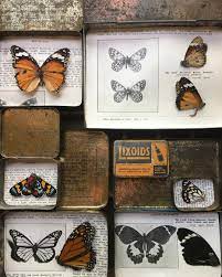 Tiny Collections The Naturalist Melbourne