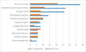 Image result for Euphorbia matabelensis
