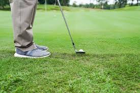Bí mật của Short Game: Cú "Texas Wedge" - EPGA - Học viện golf hàng đầu  Việt Nam