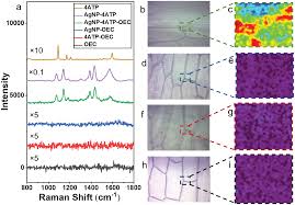 We did not find results for: Surface Enhanced Raman Spectroscopic Chemical Imaging Reveals Distribution Of Pectin And Its Co Localization With Xyloglucan Inside Onion Epidermal Cell Wall