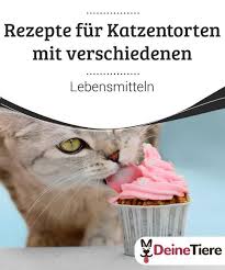 Rezepte Fur Katzentorten Mit Verschiedenen Lebensmitteln My Animals Katzen Torte Katzentorte Katzen