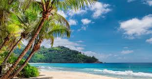 Gregory J Tokar & Pilar A Colon's Wedding Website