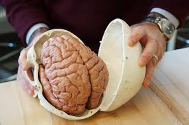 Check spelling or type a new query. Dialogismos Kata8lipsh Egkefalos O Dialogismos Allazei Perioxes Toy Egkefaloy Poy Syndeontai Me Thn Kata8lipsh Vid Healthweb Gr