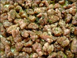 Mollejas de cordero ajo picado aceite de oliva sal. Mollejas De Cordero Al Ajillo Platos De Carne Recetas Con Res Cordero Lechal Asado