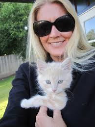 Post a picture of your Cat