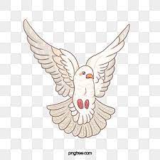 Dove Bird White Dove White Bird Clipart Dove Bird Png Transparent Clipart Image And Psd File For Free Download In 2021 Dove Pictures Dove Images Bird Illustration