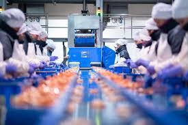 For portraing a society marked by financial and economical crisis, autoritarism and indiference (. El Empleo En La Industria Alimentaria Resiste Ante La Covid 19 Que Acaba Con 5 Anos De Crecimiento
