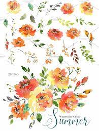Summer Orange Watercolor Flowers Png Floral Painting Watercolor Flowers Flower Painting