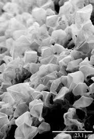 Structure Of Carbon Dioxide Crystals Martian Frost Snow Crystal Scanning Electron Microscopy Electron Microscope