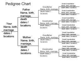 Starting Your Family Research Familytree Com