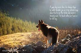 John ward reads another poem from our collection; 10 Best Pet Memorial Poems