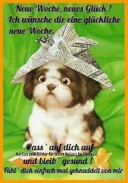 Pin Von Dorothea Sussmann Auf Guten Morgen In 2020 Niedlich Guten Morgen Lustige Guten Morgen Grusse Guten Morgen Gruss