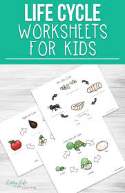 Life Cycle Worksheets For Kids Life Cycles Apple Life Cycle Animal Life Cycles