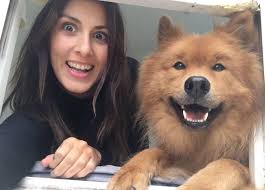 Proper hard staffie guarding against the birds outside 🐦 He doesn't really  bark, not sure what you would call it 😆 Bruno you're ace 🐾