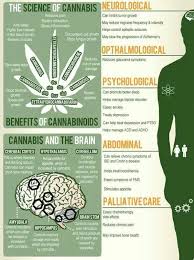 Pin On Holistic