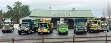 At 7's tree service, we specialize in the removal of hazardous trees, pruning and planting of new trees. Professional Residential Commercial Tree Services In Upstate Ny
