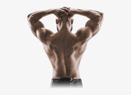 Risk factors for pulled back muscles. Muscular Man Back View Drawing