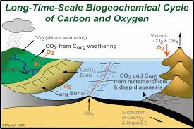 importance of carbon for climate regulation