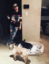 Ryan fischer was walking three of the pop star's dogs wednesday evening when a man approached the dog walker and shot him once, according to los. Who Returned Lady Gaga S Dogs Woman Uninvolved With Gunmen Finds Them Internet Asks If She Got 500k Reward Meaww