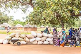 Somalia: U.S. Provides U.S.6 Million in Aid to Somalia Amid Drought